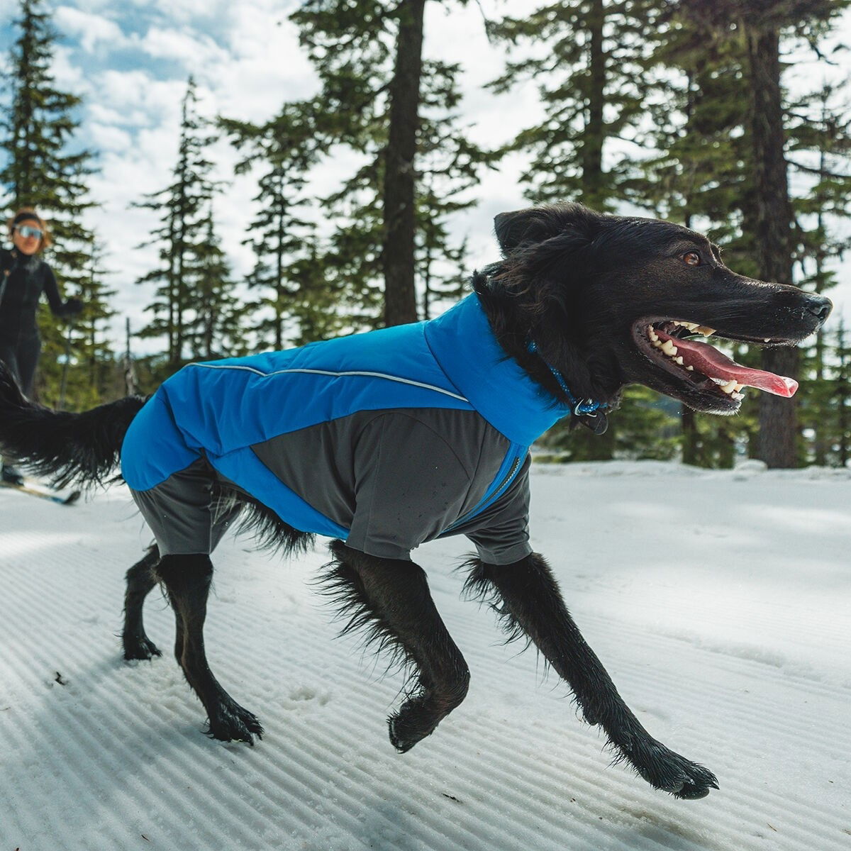 Ruffwear Vert talvihaalari, sininen